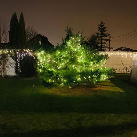 Villa Umberti Sibiu Dış mekan fotoğraf