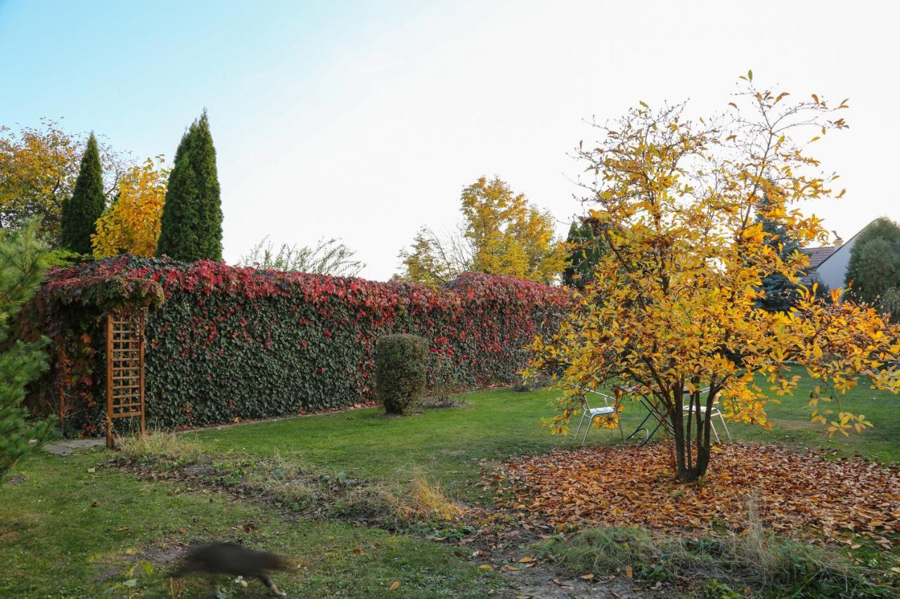 Villa Umberti Sibiu Dış mekan fotoğraf